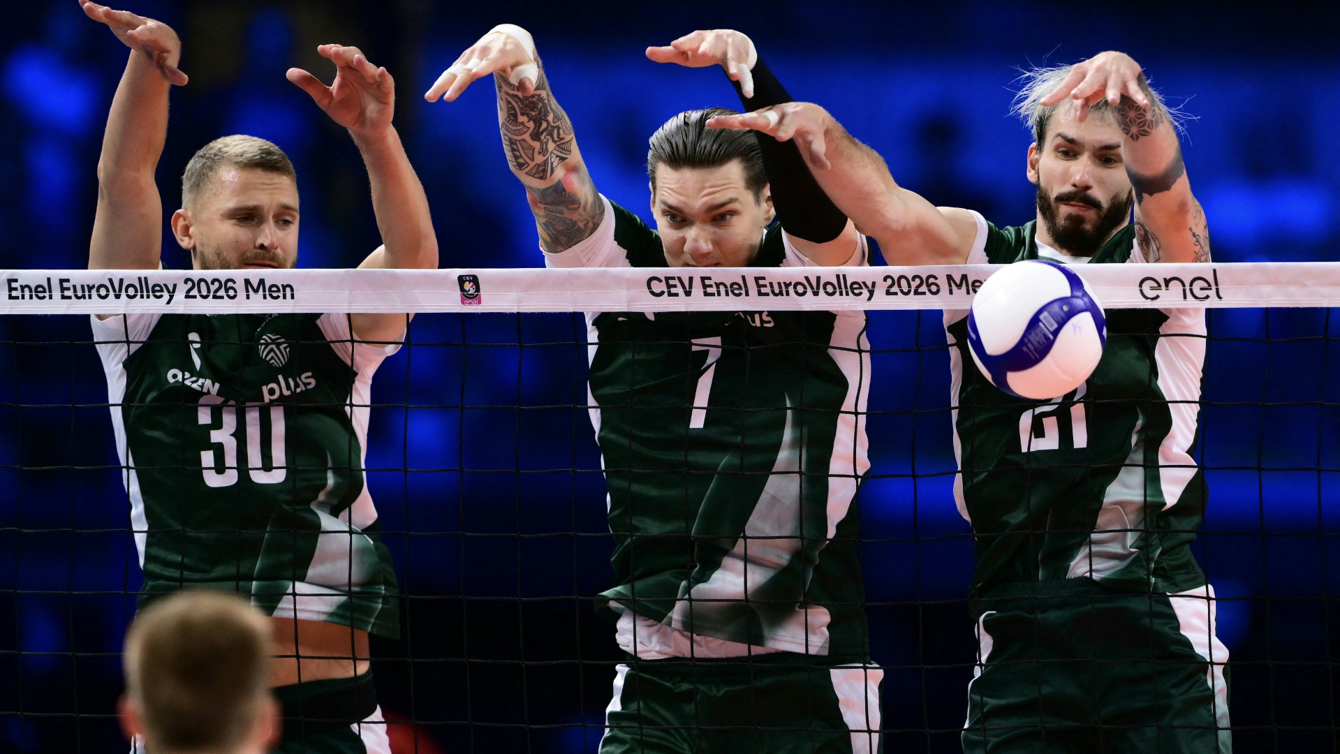 Volleyball-EM: Polen und Frankreich im Finale