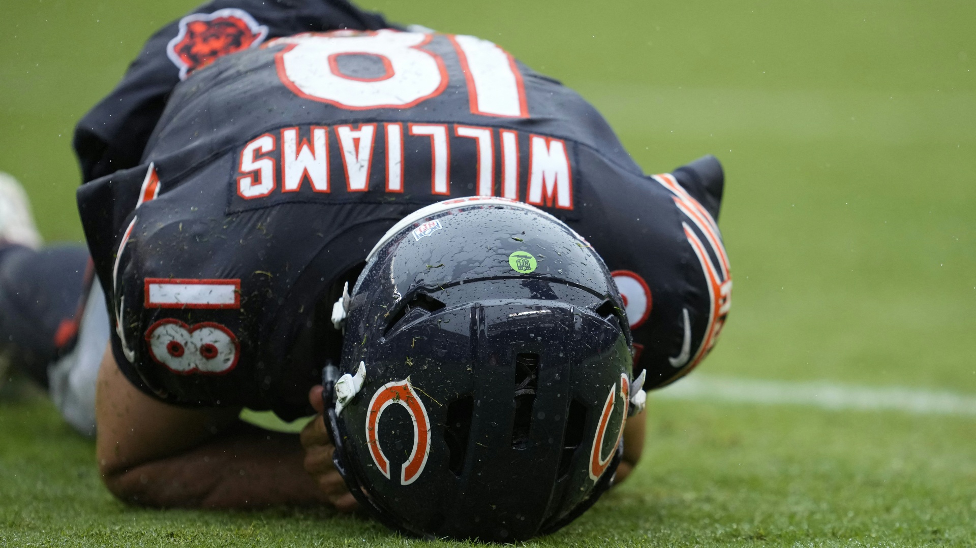 Williams verletzt raus - Bears kassieren Heimpleite